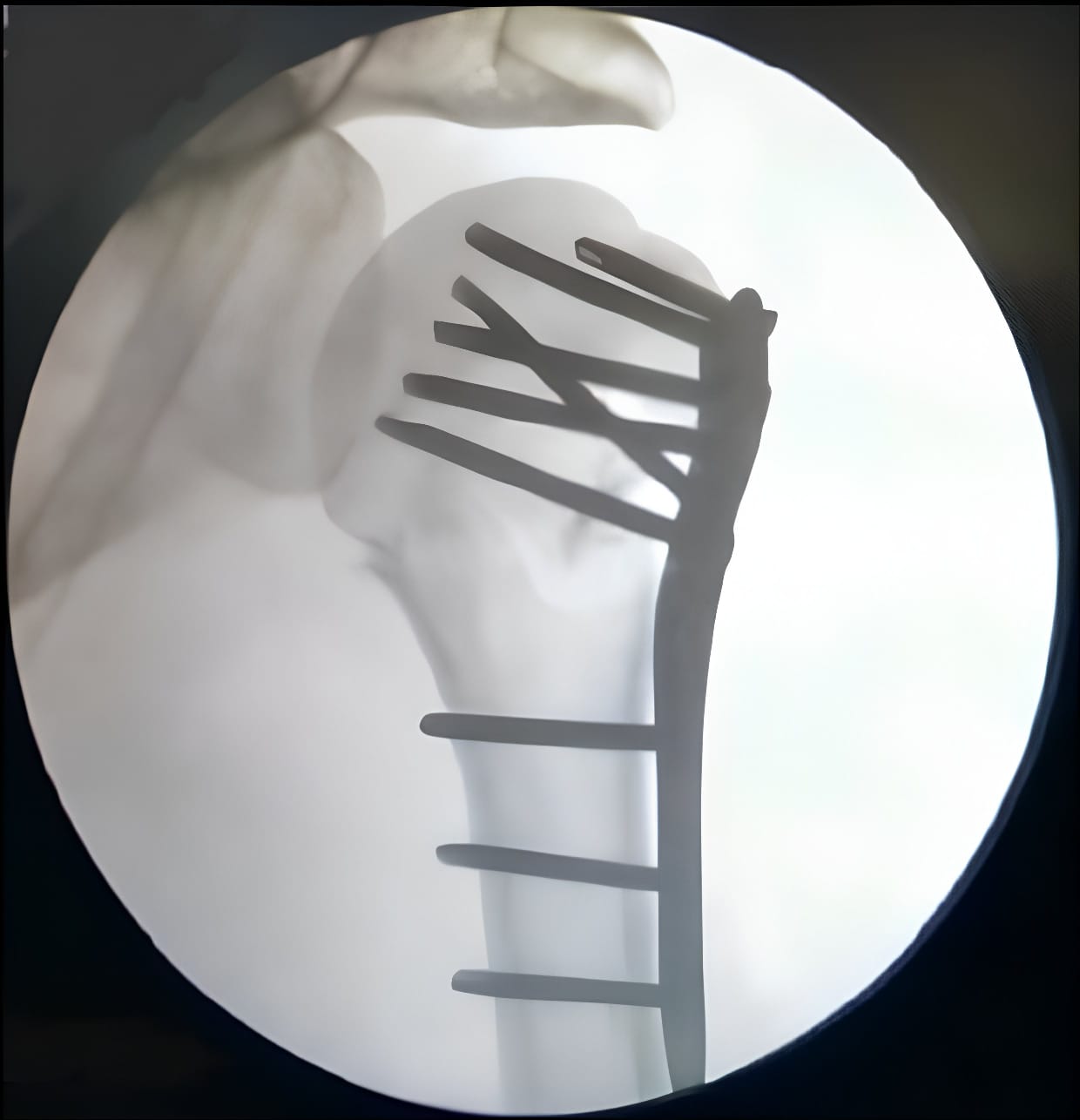 WhatsApp Image 2025-04-24 at 11.45.07