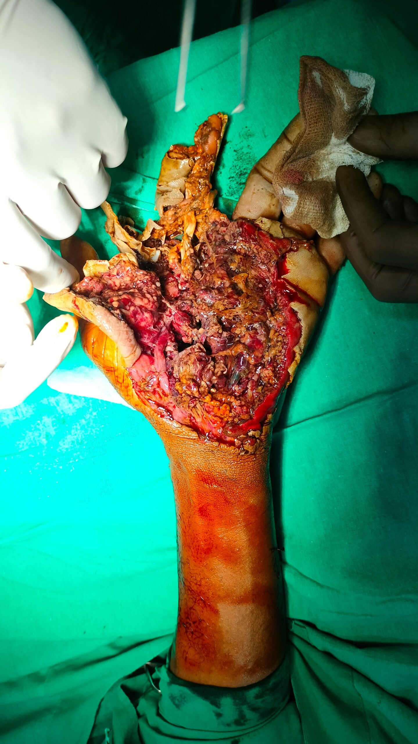 WhatsApp Image 2025-04-24 at 18.04.28