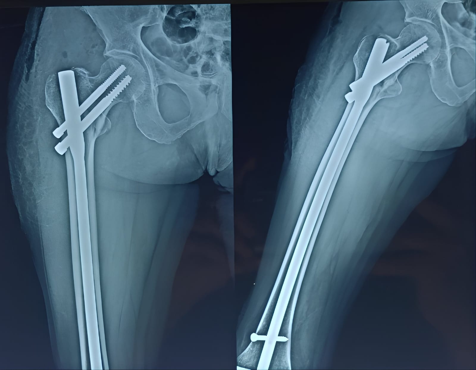 WhatsApp Image 2025-04-24 at 18.04.29 (1)